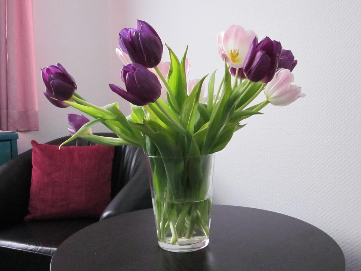 Hotel Anlage Heidelberg Luaran gambar